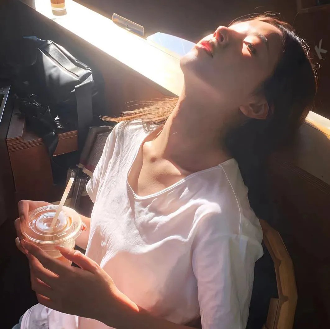乱世伤痕:末代总督的秘密